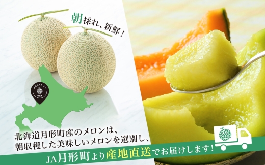 【2026年夏発送】北海道 赤肉メロン 北の女王 秀品 約1.6kg×1玉 令和8年 メロン 果物 フルーツ 旬 季節 希少 貴重 甘い 豊潤 国産 デザート ご褒美 産地直送 ギフト お祝い 贈答品 贈り物 お中元 常温 お取り寄せ 送料無料 