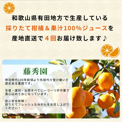 みかん 自然由来だから安心 みかんづくりの1年を描く「みかんくれよん
