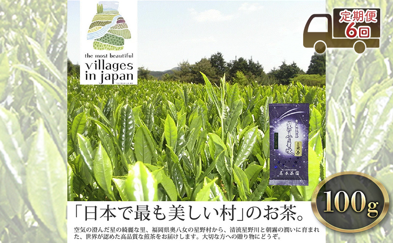 【福岡県朝倉市】定期便 6ヶ月 お茶 煎茶 八女茶 100g×1袋 奥八女 星野村 高級 深蒸し 茶 星野茶 緑茶 6回 コース お楽しみ