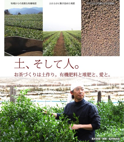 定期便 6ヶ月 お茶 煎茶 八女茶 100g×1袋 奥八女 星野村 高級 深蒸し 茶 星野茶 緑茶 6回 コース お楽しみ 