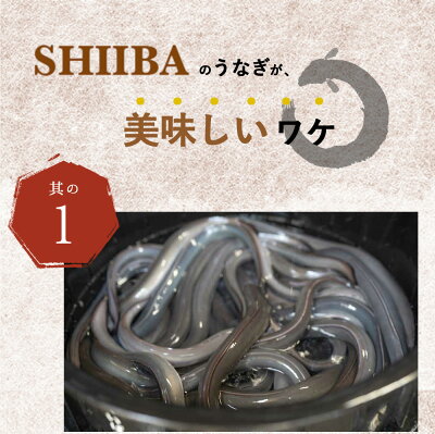 BC6007_うなぎ蒲焼 4尾 & 蒲焼タレ 2本 セット 国産 安全 ふっくら うなぎ 特製 タレ 土用 丑の日 こだわり 蒲焼き 贈答 贈り物 ギフト 急速冷凍 うな丼 うな重 う巻き ひつまぶし うなむすび 濃厚 冷凍 しいば水産 角長 お取り寄せ 和歌山県 湯浅町 送料無料