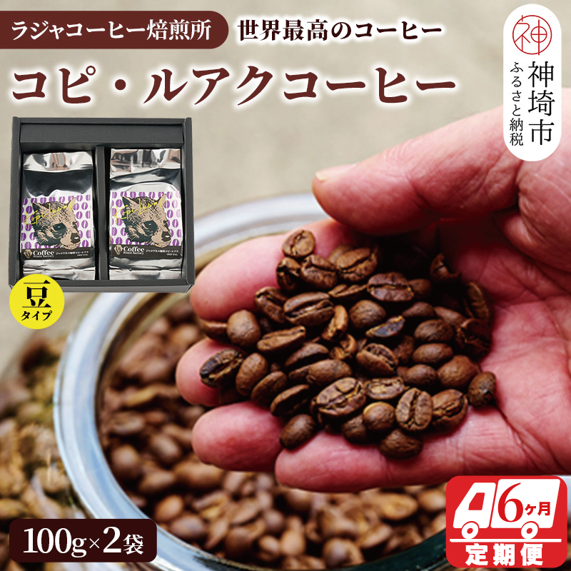 ジャコウネコ珈琲 コピ・ルアク 100g×2袋 合計200g【6回定期便