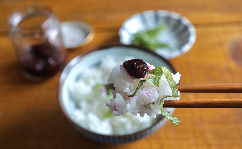 厚岸ハスカ 冷凍ハスカップ 1袋（750g） アントシアニン スーパーフード 果実 ビタミン ミネラル 抗酸化作用 ポリフェノール 北海道産 