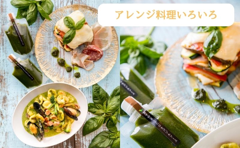 温室野菜 sano 　生バジルソース 料理 イタリア料理 新鮮 香り 温室栽培 無添加 おすすめ 人気 厳選 袋井市 加工食品 食用油 