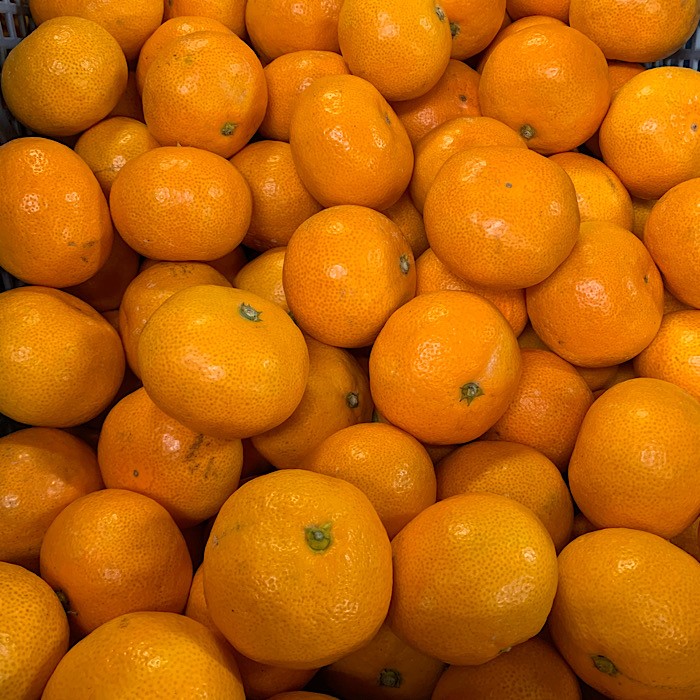 703)数量限定　甘すぎる　有田みかん　果物 　みかん　小玉　旬 秀品]和歌山有田みかん約6kg大玉(3Lサイズ)「2025年11月中旬より