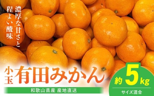 ya̎RLcS󒬁zBL6173_yYnza̎RY Lc݂  5kg