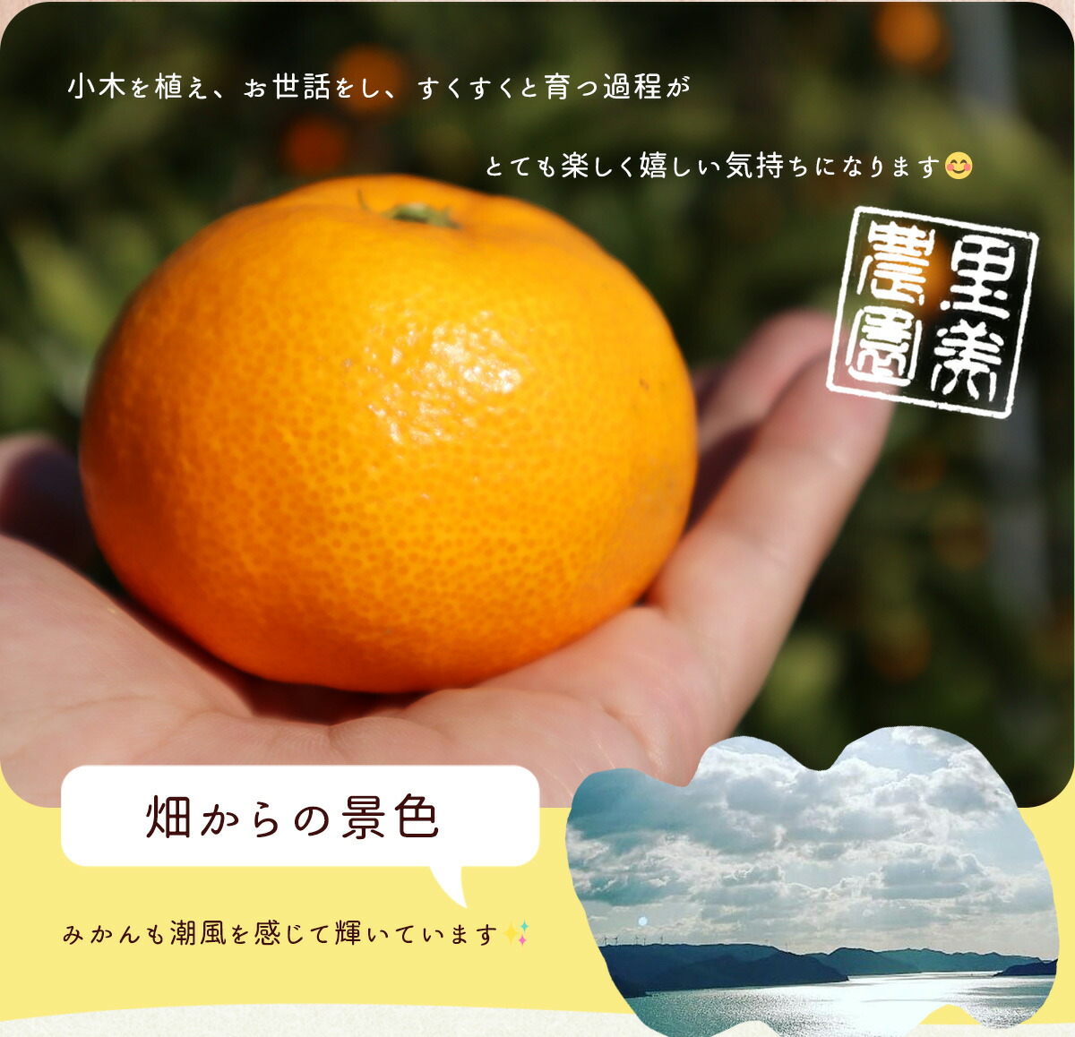 AN6112_有田みかん【訳あり】1kg SS～2Lサイズ混合 農家直送