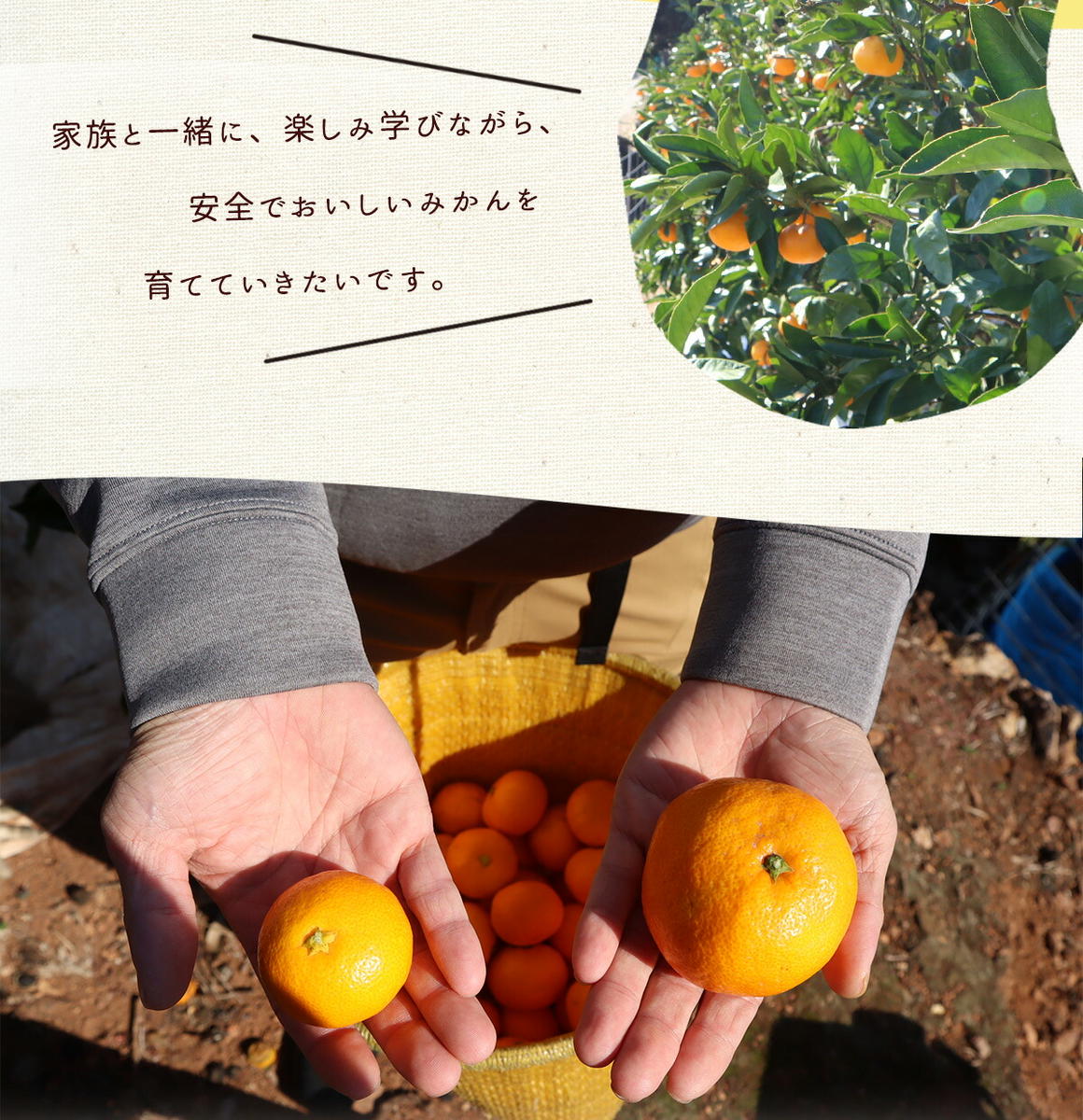 AN6112_有田みかん【訳あり】1kg SS～2Lサイズ混合 農家直送