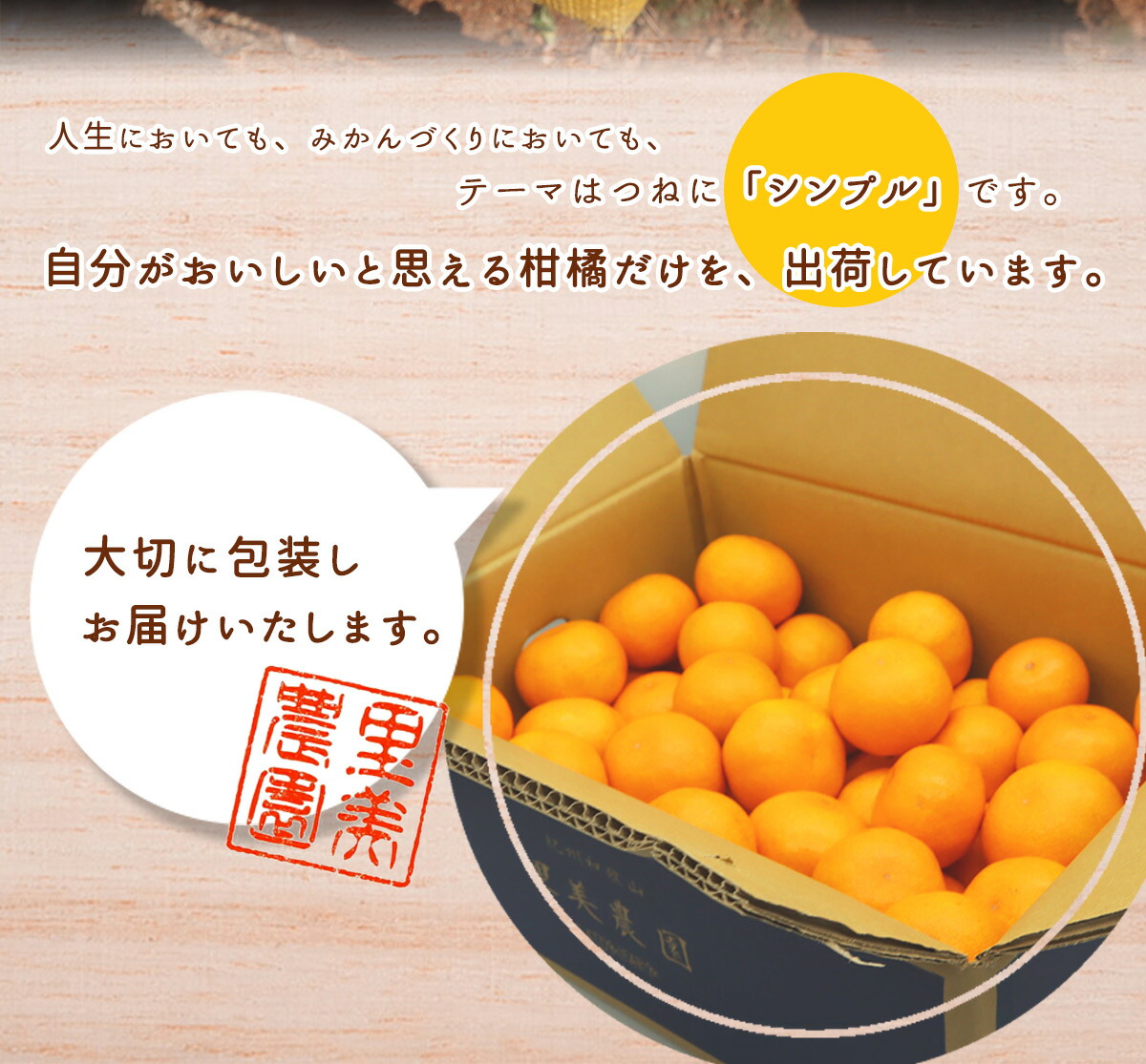 AN6112_有田みかん【訳あり】1kg SS～2Lサイズ混合 農家直送