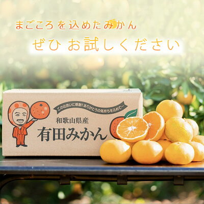 ZE6415_【秀品】有田みかん 和歌山県有田産 2kg (2S～Lサイズ混合) 【まごころ手選別】