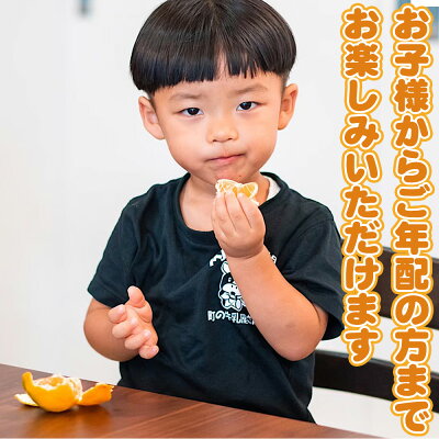 ZE6415_【秀品】有田みかん 和歌山県有田産 2kg (2S～Lサイズ混合) 【まごころ手選別】