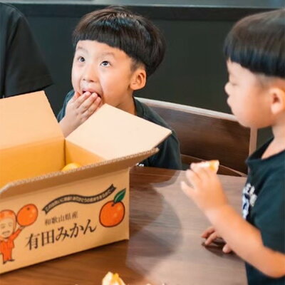 ZE6415_【秀品】有田みかん 和歌山県有田産 2kg (2S～Lサイズ混合) 【まごころ手選別】