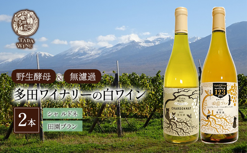 SORACHI 1984 ≪ソラチ1984≫1箱（350ml×12缶） 吉澤商店 北海道 上