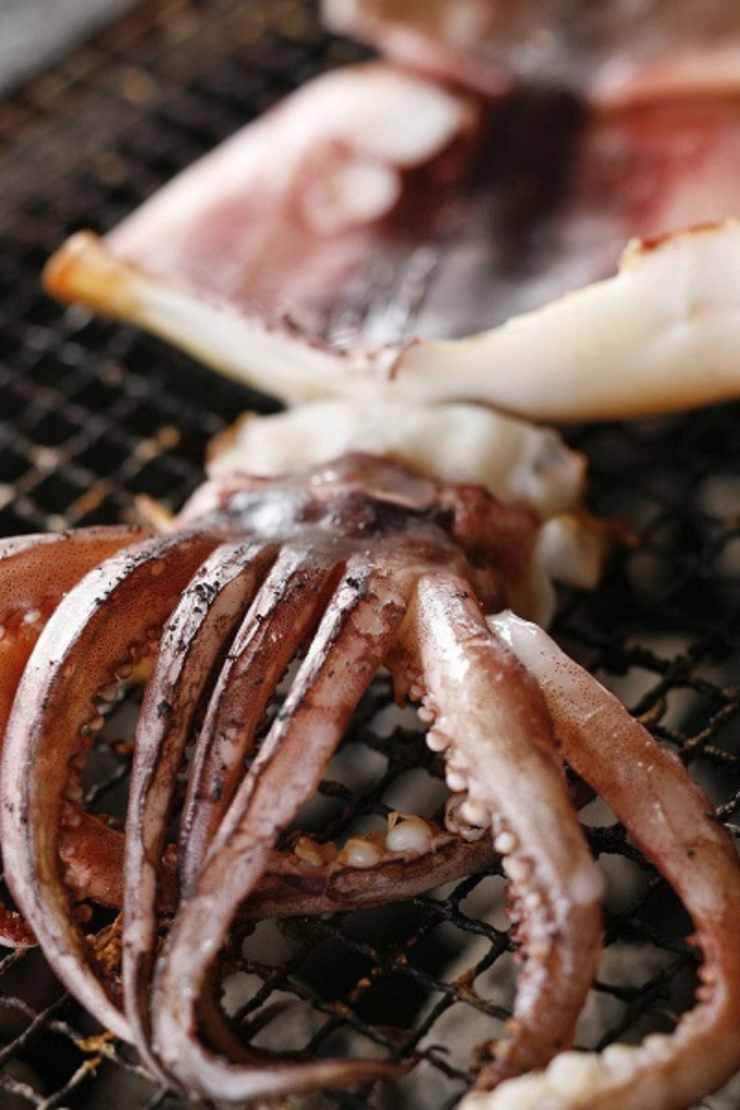 柔らか肉厚の スルメイカ 一夜干し 1枚[ 国産 干物 肴 つまみ イカ ]