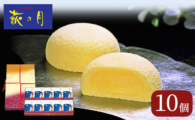 y{錧͌ž10   yY ُOS aَq