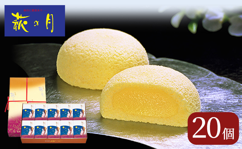 y{錧͌ž20   yY ُOS aَq