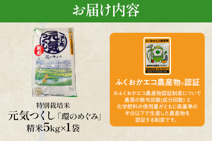 福岡県大木町のふるさと納税 令和6年度米 特別栽培米「環のめぐみ」　精米5ｋｇ　AI001-1