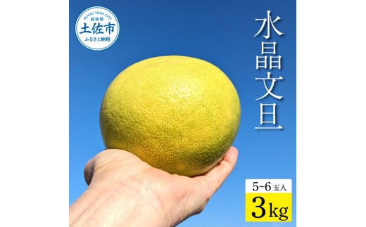 【高知県土佐市】土佐市産 水晶文旦 約3kg (5〜6玉)文旦 ぶんたん ブンタン すいしょうぶんたん ハウス栽培 甘い 高級 果物 柑橘 フルーツ 果物 ご当地 お取り寄せ 3キロ 贈答 ギフト