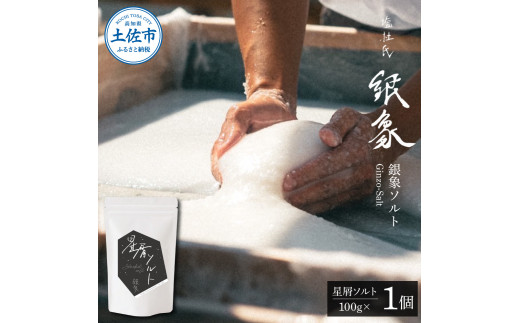 【高知県土佐市】銀象ソルト Ginzo-Salt 星屑ソルト 100g 塩 しお 調味料 天日塩 完全天日塩 国産 高知県産 ソルト ミネラル 健康 料理 調理 お塩 塩 美味しい 天然 塩 高知県