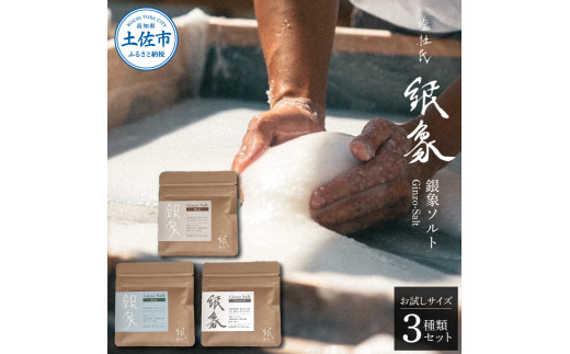 【高知県土佐市】銀象ソルト Ginzo-Salt お試しサイズ3種類セット 塩 しお 調味料 天日塩 完全天日塩 国産 高知県産 ソルト ミネラル 健康 お試し セット スタンダード ミート フィッシュ 料理 天然
