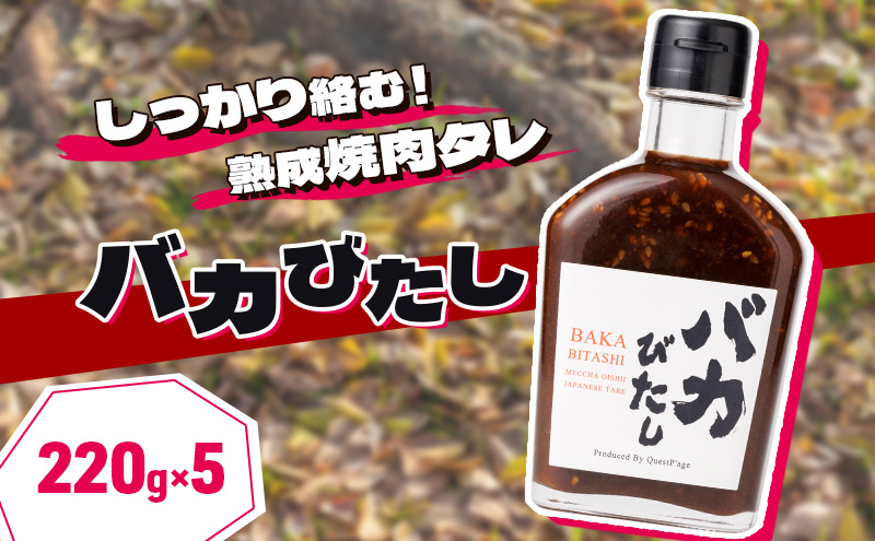 たれ セット 220g×5本 バカびたし 焼肉のたれ タレ 調味料 キャンプ 