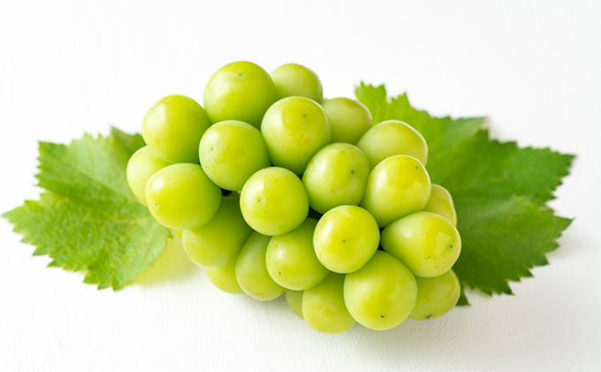 ぶどう 2025年 先行予約 シャイン マスカット 晴王 1房 500g前後 マスカット ブドウ 葡萄  岡山県産 国産 フルーツ 果物 ギフト 