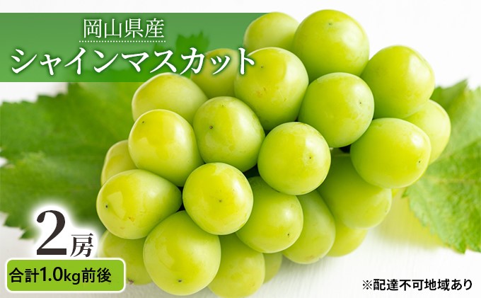 【岡山県玉野市】ぶどう 2025年 先行予約 シャインマスカット 晴王 2房 合計1.0kg前後 マスカット ブドウ 葡萄  岡山県産 国産 フルーツ 果物 ギフト