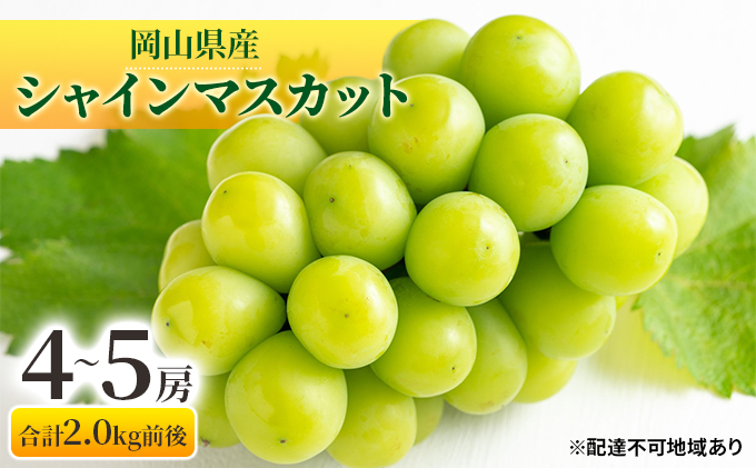 【岡山県玉野市】ぶどう 2025年 先行予約 シャインマスカット 晴王 4〜5房 合計2.0kg前後 マスカット ブドウ 葡萄  岡山県産 国産 フルーツ 果物 ギフト