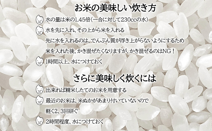 令和7年産先行予約】北海道 令和7年産 ななつぼし 5kg×1袋 特A