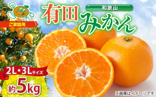 ZJ6084_ご家庭用　和歌山有田みかん 約5kg (2L、3Lサイズいずれか)【湯浅町】