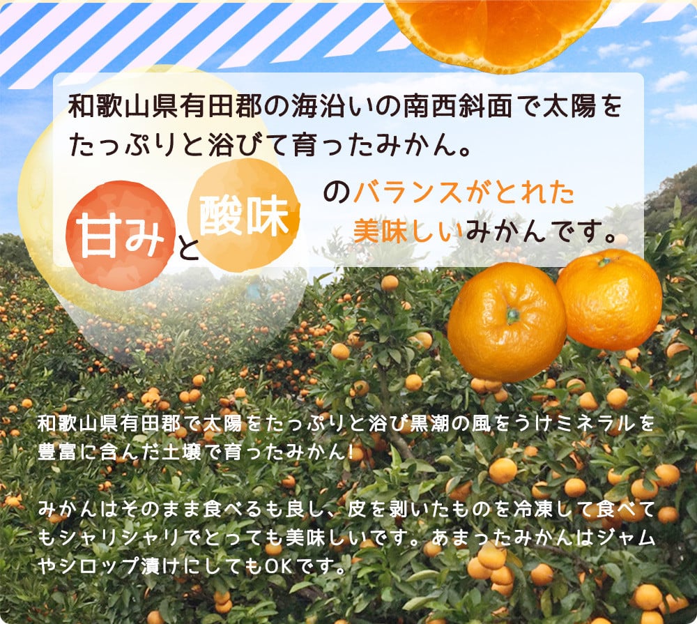 ZJ6084_ご家庭用　和歌山有田みかん 約5kg (2L、3Lサイズいずれか)【湯浅町】