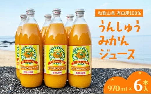 【和歌山県有田郡湯浅町】ZJ6060n_和歌山有田産100% うんしゅうみかんジュース 970ml × 6本セット