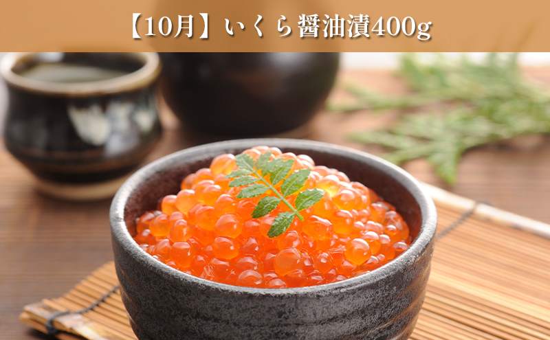 オホーツク枝幸の恵 海の幸 年3回 定期便 [2026年4月発送開始] 丸高