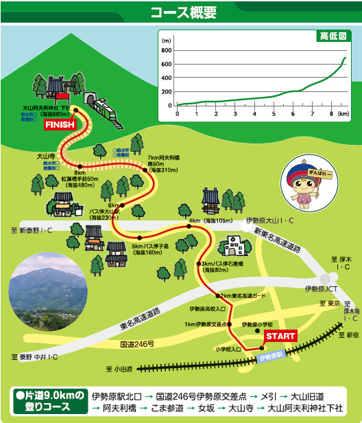 神奈川県伊勢原市のふるさと納税 [限定] 市制55周年記念第41回大山登山マラソン大会参加券！限定特典付！ [0719]