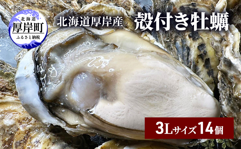 北海道 厚岸産 殻付き 牡蠣 3Lサイズ 14個 魚貝類 生牡蠣 海鮮 海の幸 生食用牡蠣 生食用 生食用殻付き牡蠣 濃厚 甘み マルえもん オイスター 