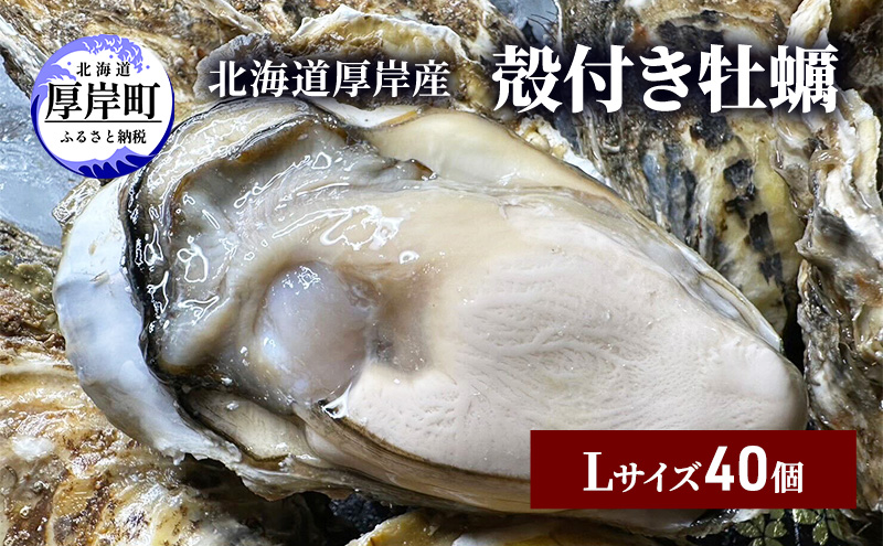 【北海道厚岸町】北海道 厚岸産 殻付き 牡蠣 Lサイズ 40個 魚貝類 生牡蠣 海鮮 海の幸 生食用牡蠣 生食用 生食用殻付き牡蠣 濃厚 甘み マルえもん オイスター