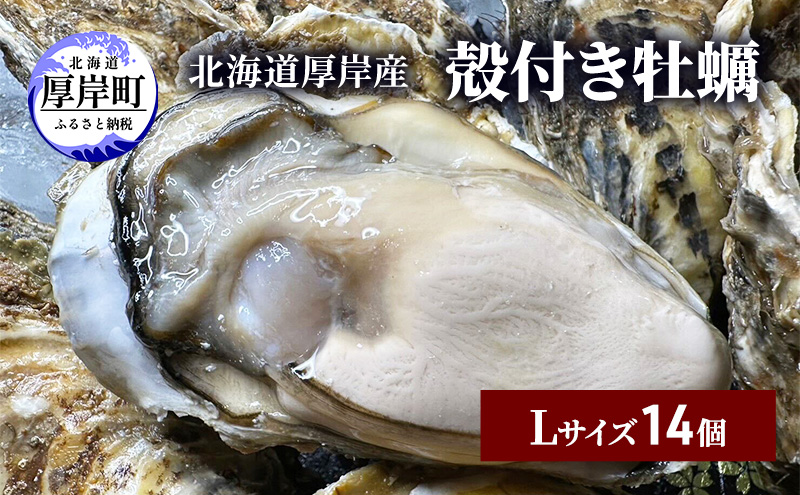 【北海道厚岸町】北海道 厚岸産 殻付き 牡蠣 Lサイズ 14個 魚貝類 生牡蠣 海鮮 海の幸 生食用牡蠣 生食用 生食用殻付き牡蠣 濃厚 甘み マルえもん オイスター
