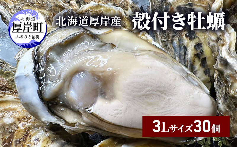 北海道 厚岸産 殻付き 牡蠣 3Lサイズ 30個 魚貝類 生牡蠣 海鮮 海の幸 生食用牡蠣 生食用 生食用殻付き牡蠣 濃厚 甘み マルえもん オイスター 