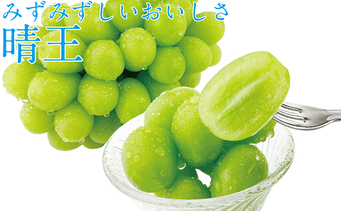 ぶどう 2026年 先行予約 シャイン マスカット 晴王 1房 約600g ブドウ 葡萄  岡山県産 国産 フルーツ 果物 ギフト 