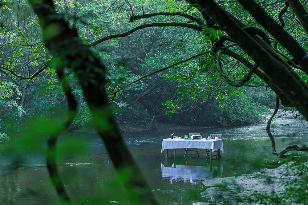 鹿児島県霧島市のふるさと納税 K-100 《セゾン限定》天空の森「春夏秋冬4回宿泊プラン」ペア宿泊券【天空の森】宿泊 旅行 チケット 宿泊券 温泉 旅行券 温泉 高級宿