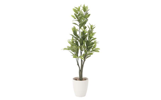 光の楽園　レモン1.25【配送不可：北海道・沖縄・離島】 雑貨 日用品 植物 造花