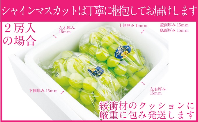 ぶどう 2026年 先行予約 シャイン マスカット 晴王 2房（合計約1.2kg） ブドウ 葡萄  岡山県産 国産 フルーツ 果物 ギフト 