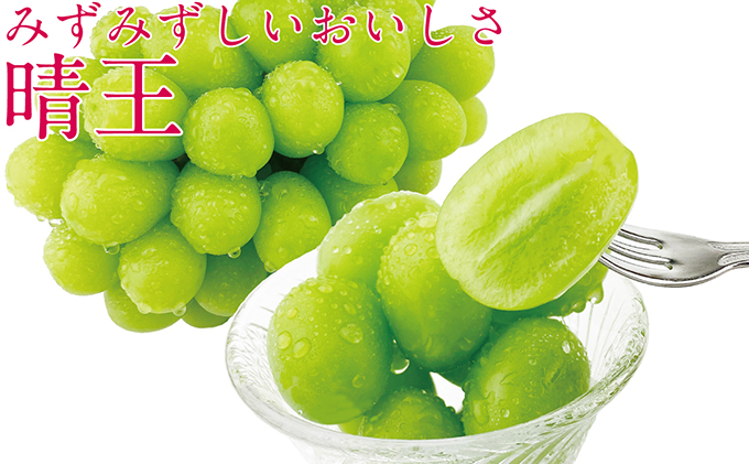 ぶどう 2026年 先行予約 シャイン マスカット 晴王 2房（合計約1.2kg） ブドウ 葡萄  岡山県産 国産 フルーツ 果物 ギフト 