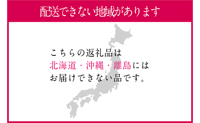 ぶどう 2026年 先行予約 9月・10月発送 シャイン マスカット 晴王 2房（合計約1.2kg） ブドウ 葡萄  岡山県産 国産 フルーツ 果物 ギフト 