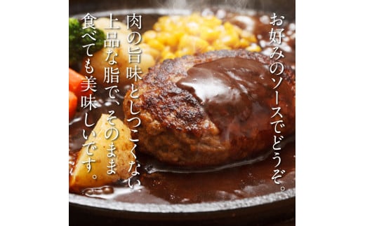 CDM004　【CF-R5cbs】1/1～寄附額変更 創業50年老舗レストランの幻の和牛あかうしハンバーグ130g×20コ（ソース無し）人気惣菜 数量限定 牛肉 豚肉 故郷納税 焼くだけ 溢れる肉汁 土佐あか牛 ハンバーグ 小分け 緊急支援品 