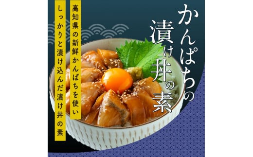 KYF106　【CF-R5cbs】 「訳ありカツオのたたき」1節＋「かんぱちの漬け丼の素」1食80g×1P＜高知市共通返礼品＞