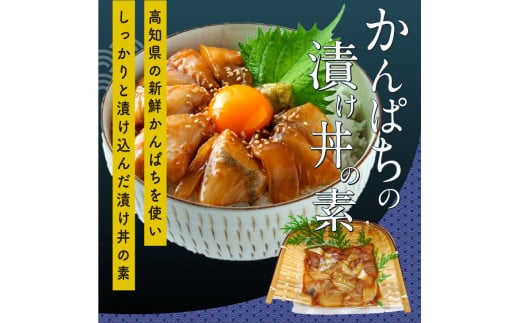 KYF107　【CF-R5cbs】 海鮮漬け丼の素3種食べ比べセット＜高知市共通返礼品＞
