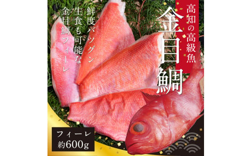 KYF109　【CF-R5cbs】 金目鯛のフィーレ600g＜高知市共通返礼品＞