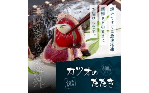 KYF114　【CF-R5cbs】 「訳ありカツオのたたき」600g＋「訳ありマグロの漬け丼の素」1食80g×5P（順次出荷中）＜高知市共通返礼品＞