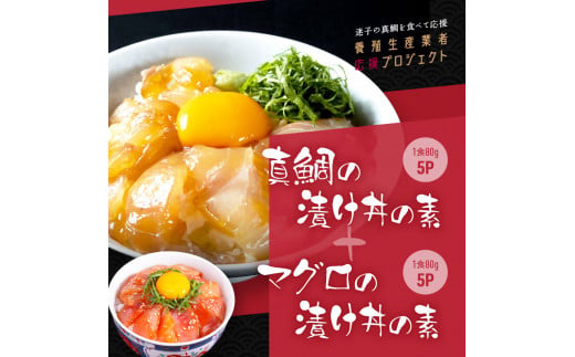 KYF116　【CF-R5cbs】 「真鯛の漬け丼の素」1食80g×5P＋「マグロの漬け丼の素」1食80g×5P《迷子の真鯛を食べて応援 養殖生産業者応援プロジェクト》